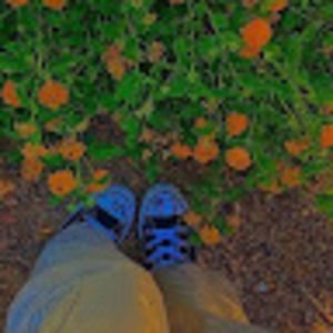 Meet your Posher, Raina